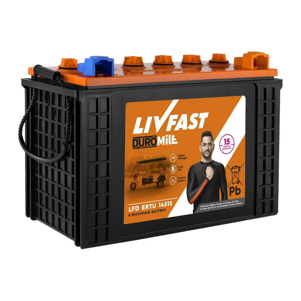 LFD2000 E-Ricksha Battery - Livfast