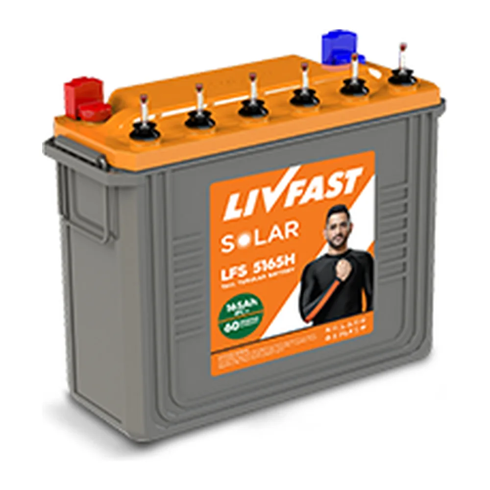 LFS 165 AH 12V Battery - Livfast